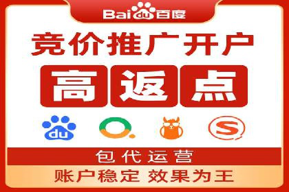 网站sem托管服务提供商的成功案例分析